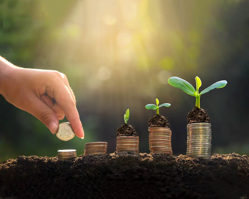 الجمعية الموحدة للتنمية المستدامة